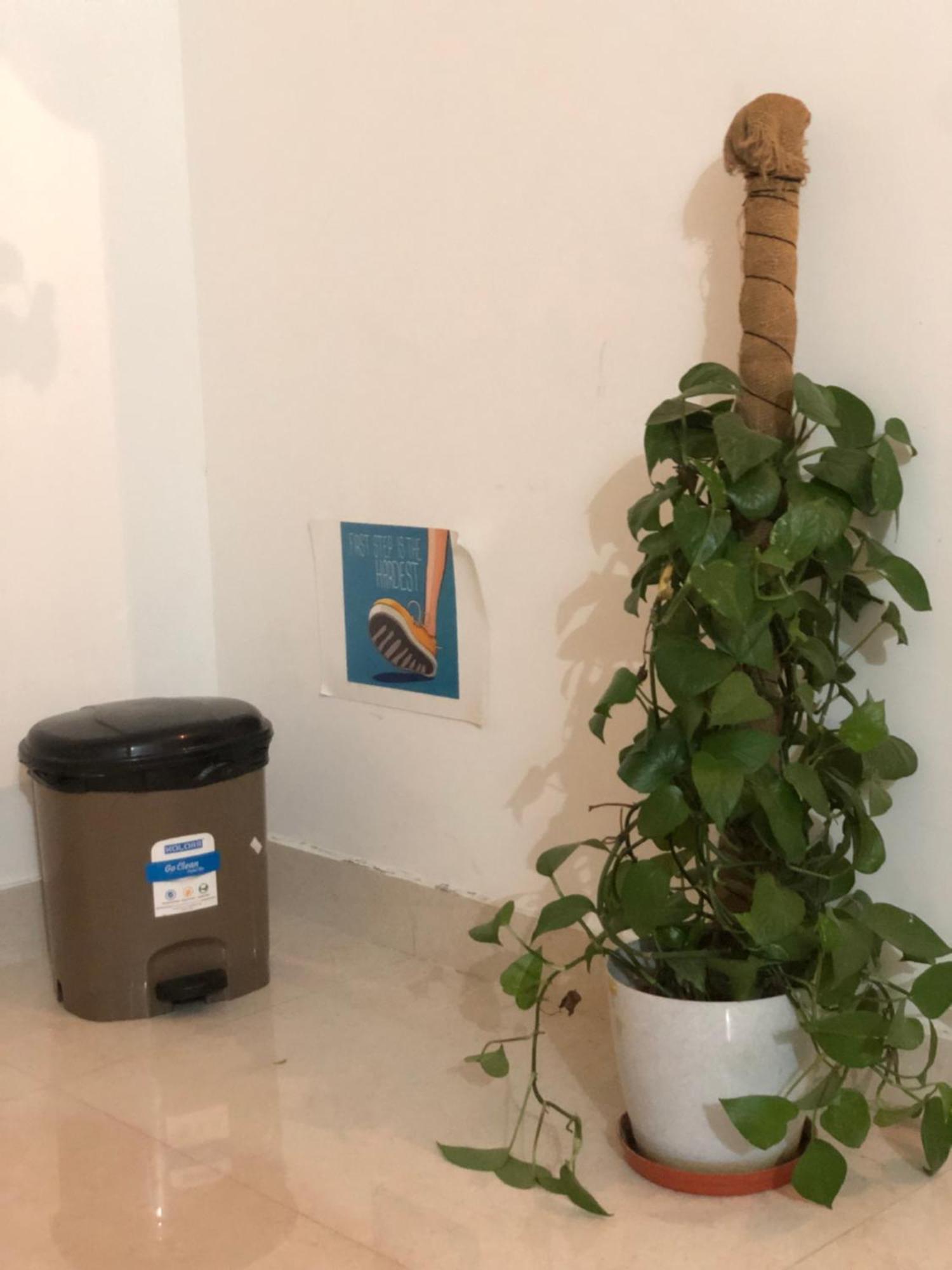 Chikmagalūr Sapthagiri Nest 아파트 외부 사진